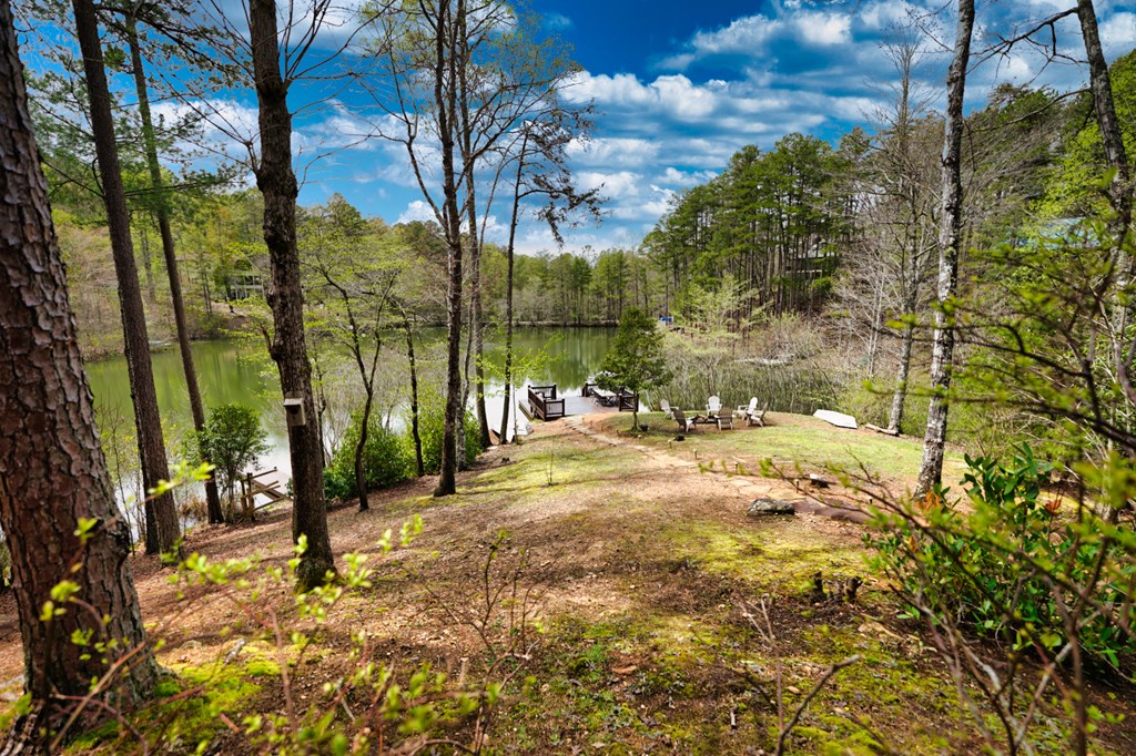 276 My Mountain Road Morganton, GA 30560 - Photo 60 of 71 Gallery Image 60