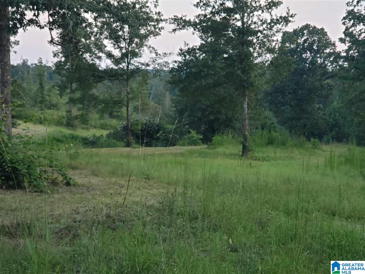 8480 Sharit Dairy Road, Unit LOT 3 Gardendale, AL 35071 - Photo 7 of 9