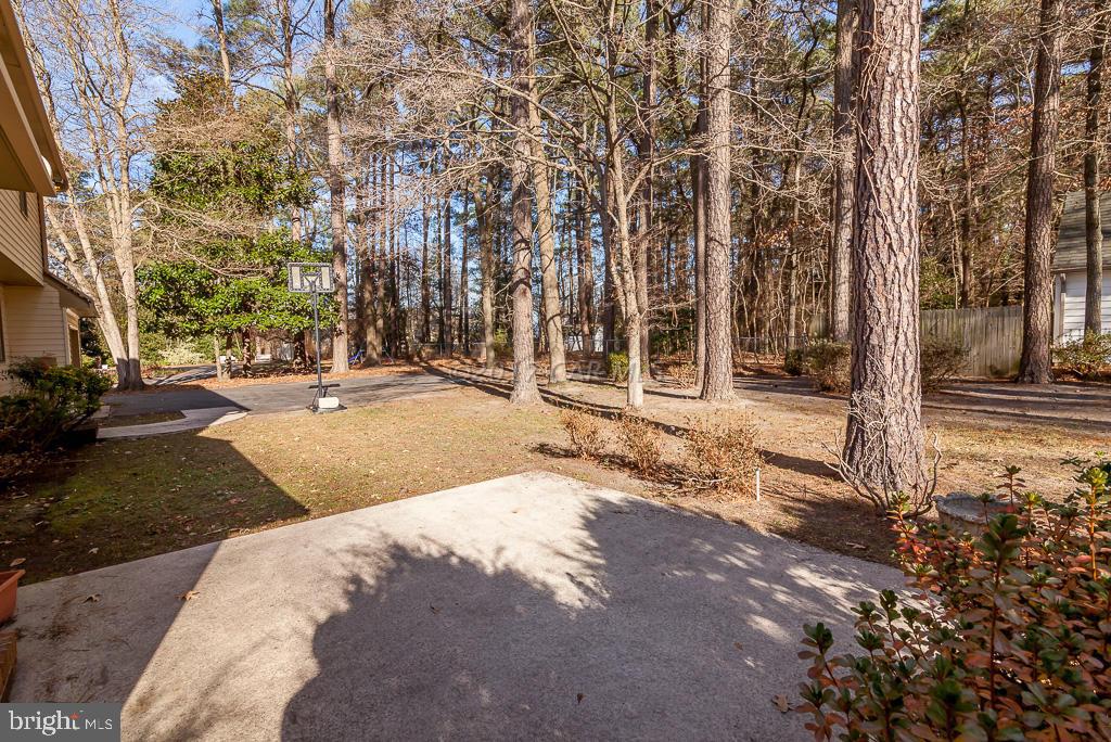 1133 Riverside Drive Salisbury, MD 21801 - Photo 40 of 40 Gallery Image 40