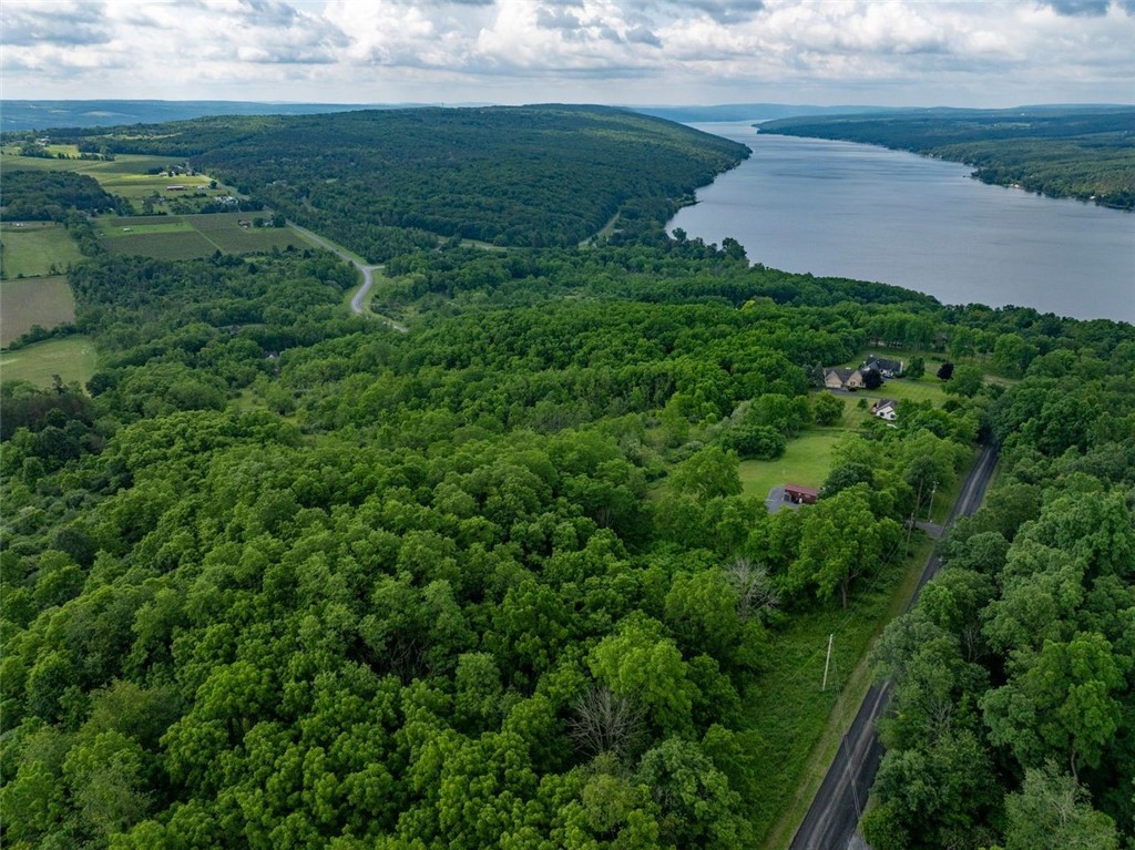 0 Esperanza Road Keuka Park, NY 14478 - Photo 8 of 17