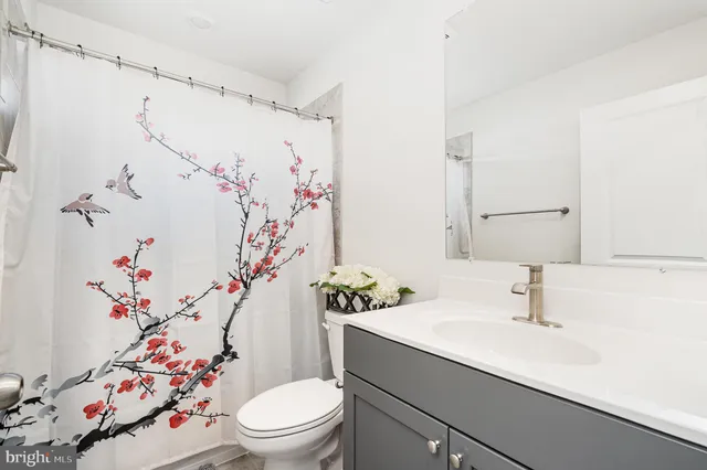 a bathroom with a sink a toilet and shower curtain