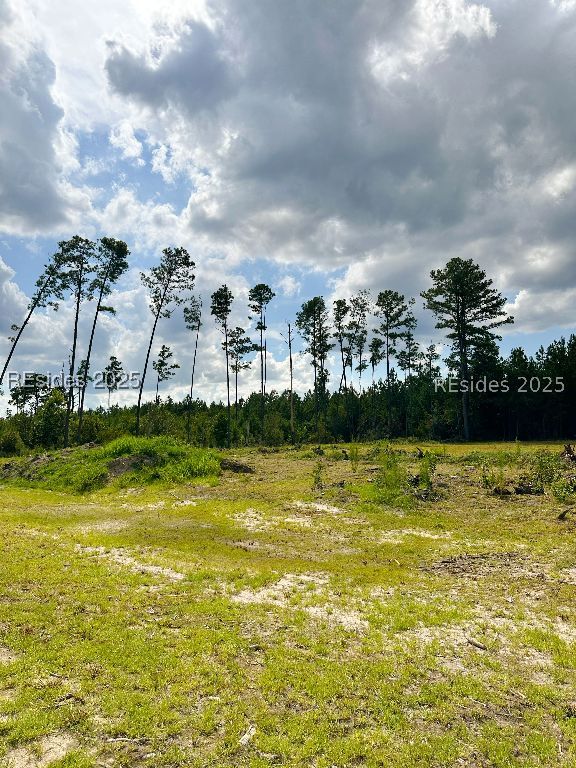 2683 D Langfordville Road Ridgeland, SC 29936 - Photo 20 of 24