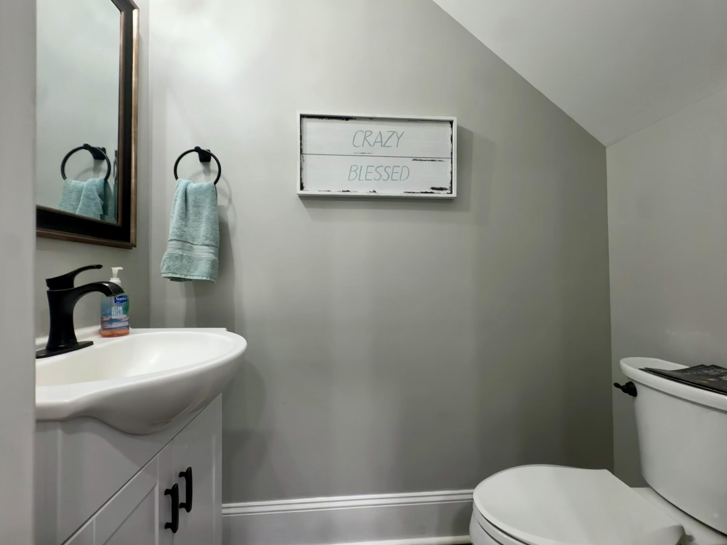 214 Brookshire Road Goose Creek, SC 29445 - Photo 11 of 25 IMG_2651