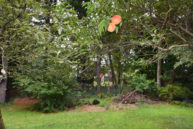 $550,000 | 696 Summer Street, Rockland, MA 02370