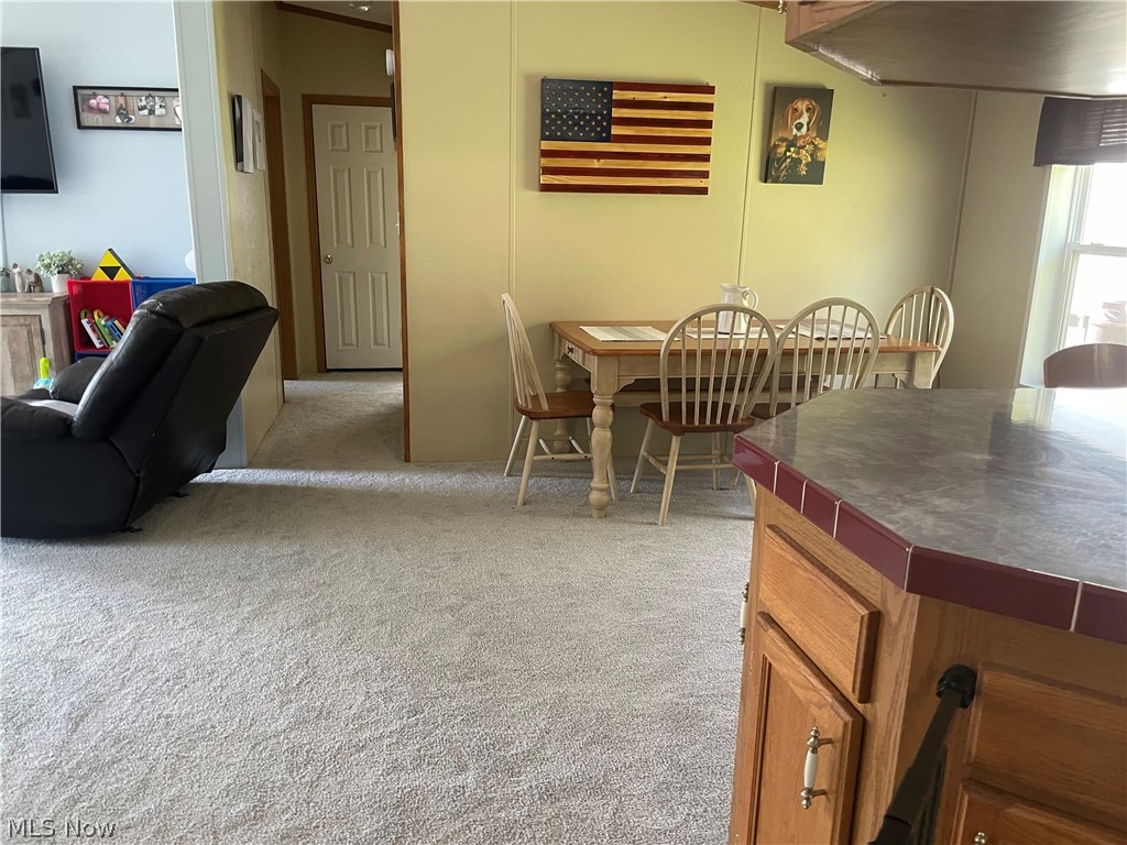 8874 Middle Run Road Dover, OH 44622 - Photo 12 of 29 Gallery Image 12