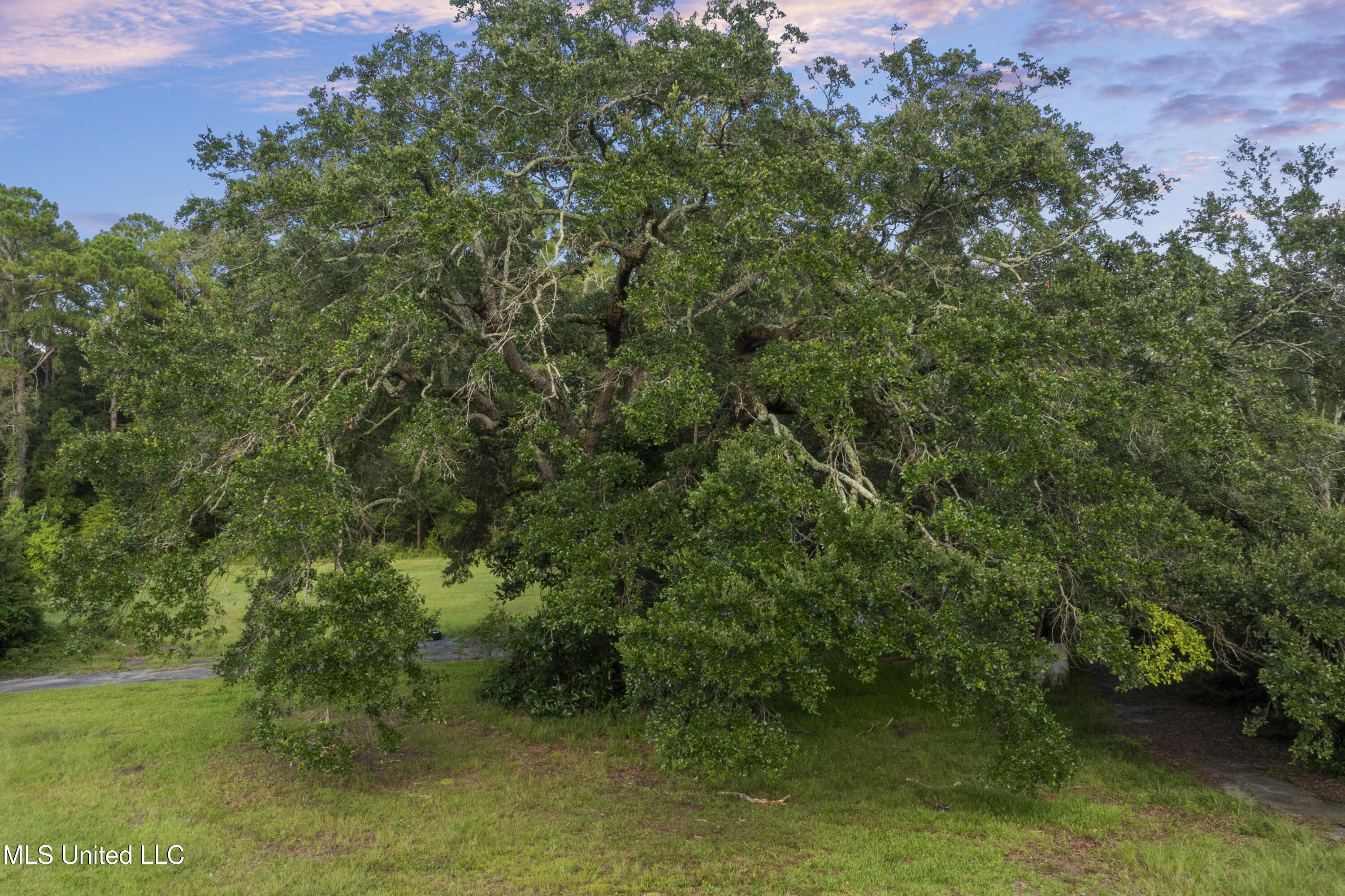 8.13-acres Dixie Street Ocean Springs, MS 39564 - Photo 19 of 41 018 (54)