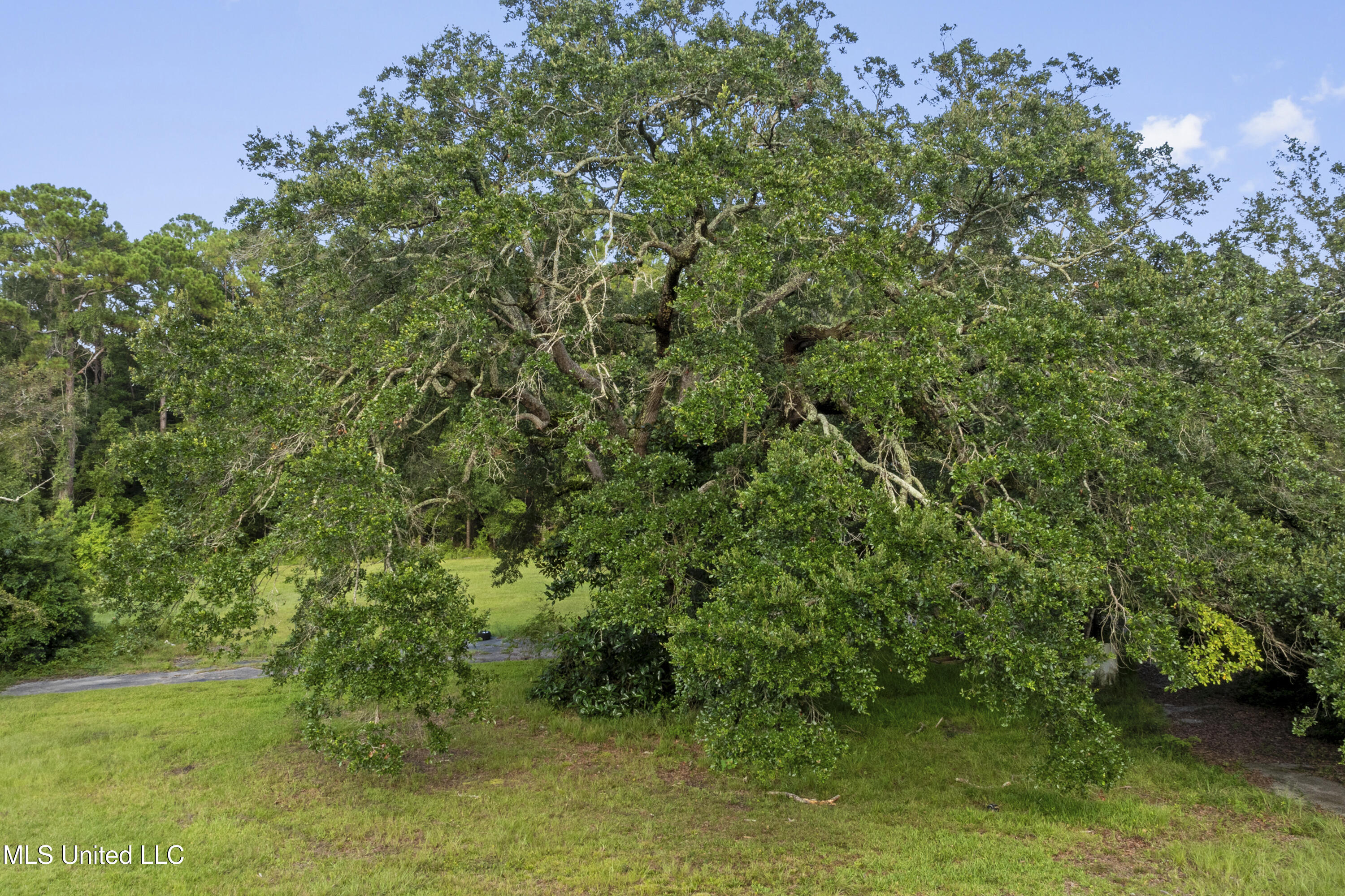 8.13-acres Dixie Street Ocean Springs, MS 39564 - Photo 37 of 41 037 (14)