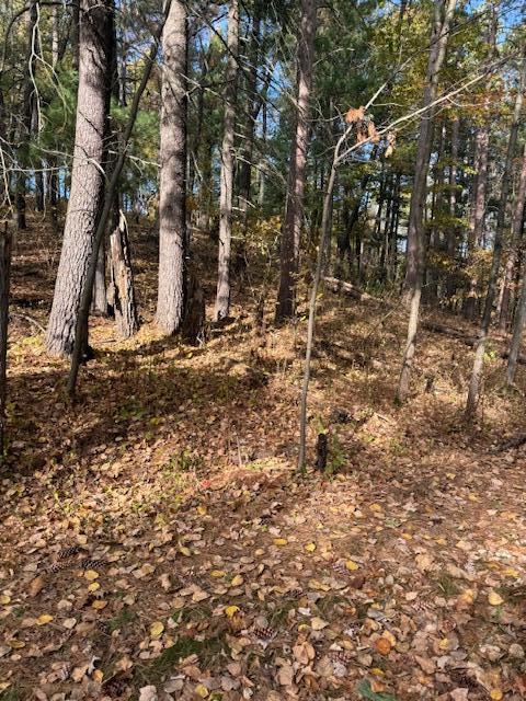 1380 Little John Road Lake Shore, MN 56468 - Photo 3 of 20