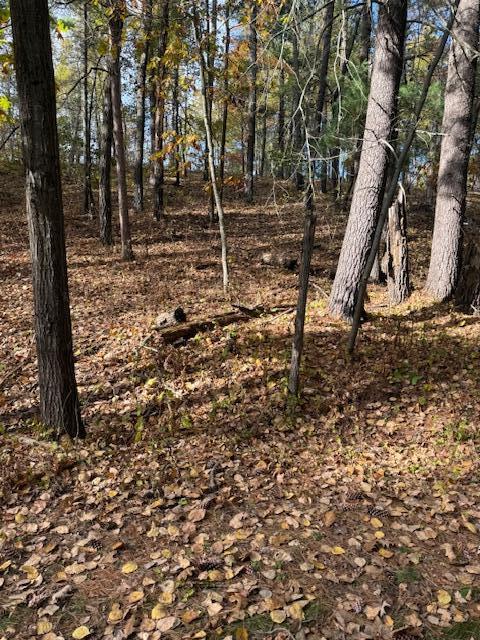 1380 Little John Road Lake Shore, MN 56468 - Photo 4 of 20