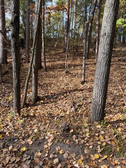 1380 Little John Road Lake Shore, MN 56468 - Photo 5 of 20