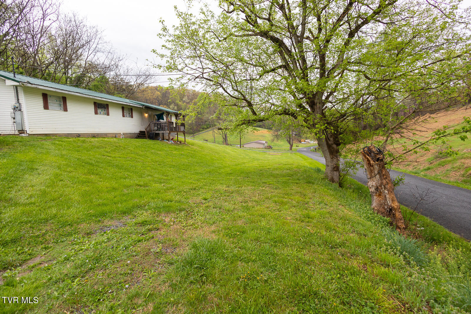 817 Tuggle Hill Road Rogersville, TN 37857 - Photo 18 of 20 IMG_9649