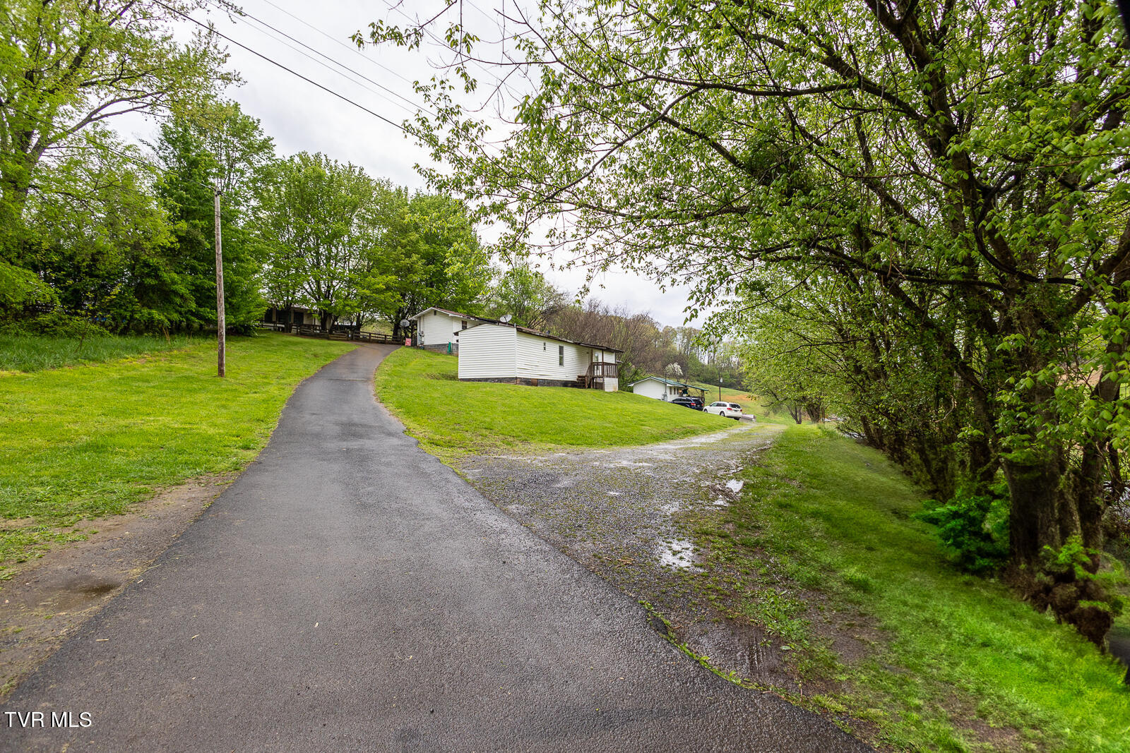 817 Tuggle Hill Road Rogersville, TN 37857 - Photo 19 of 20 IMG_9642