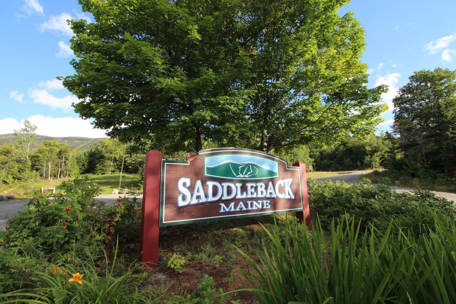 86 Magalloway Circle Sandy River Plt, ME 04970 - Photo 9 of 12 Welcome to Saddleback!