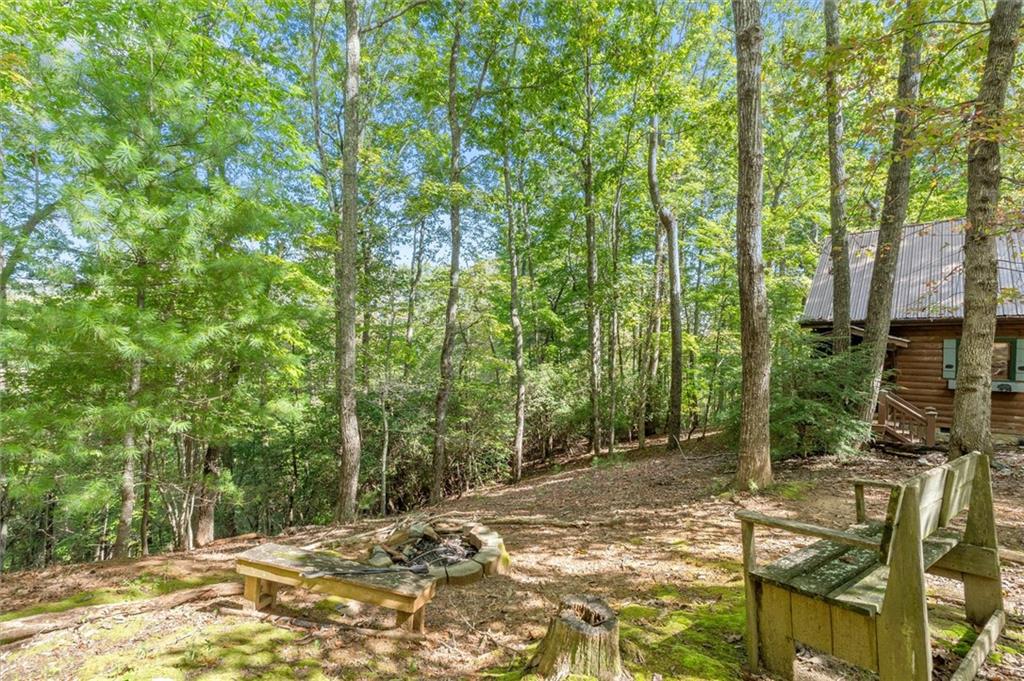 726 Cherry Lake Drive Blue Ridge, GA 30513 - Photo 31 of 39 Gallery Image 31