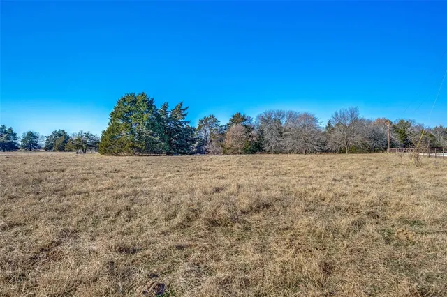 a view of a field with trees in the background