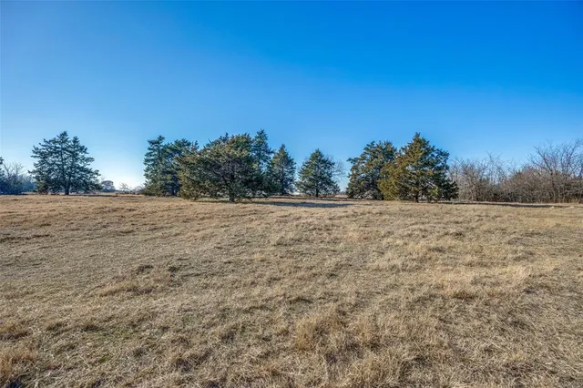 a view of a field with trees in the background