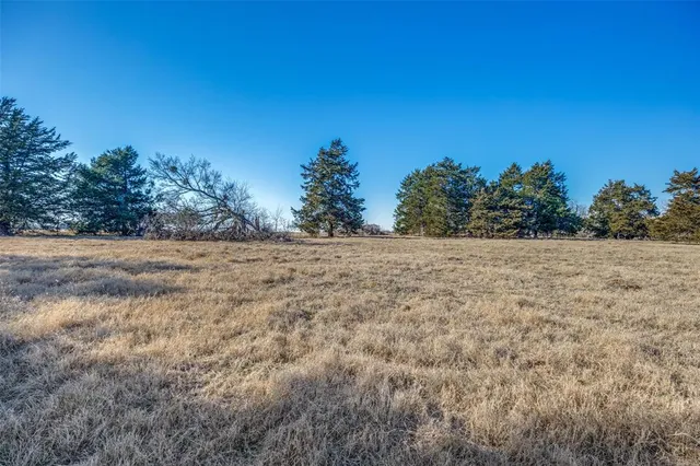 a view of a field with trees in background