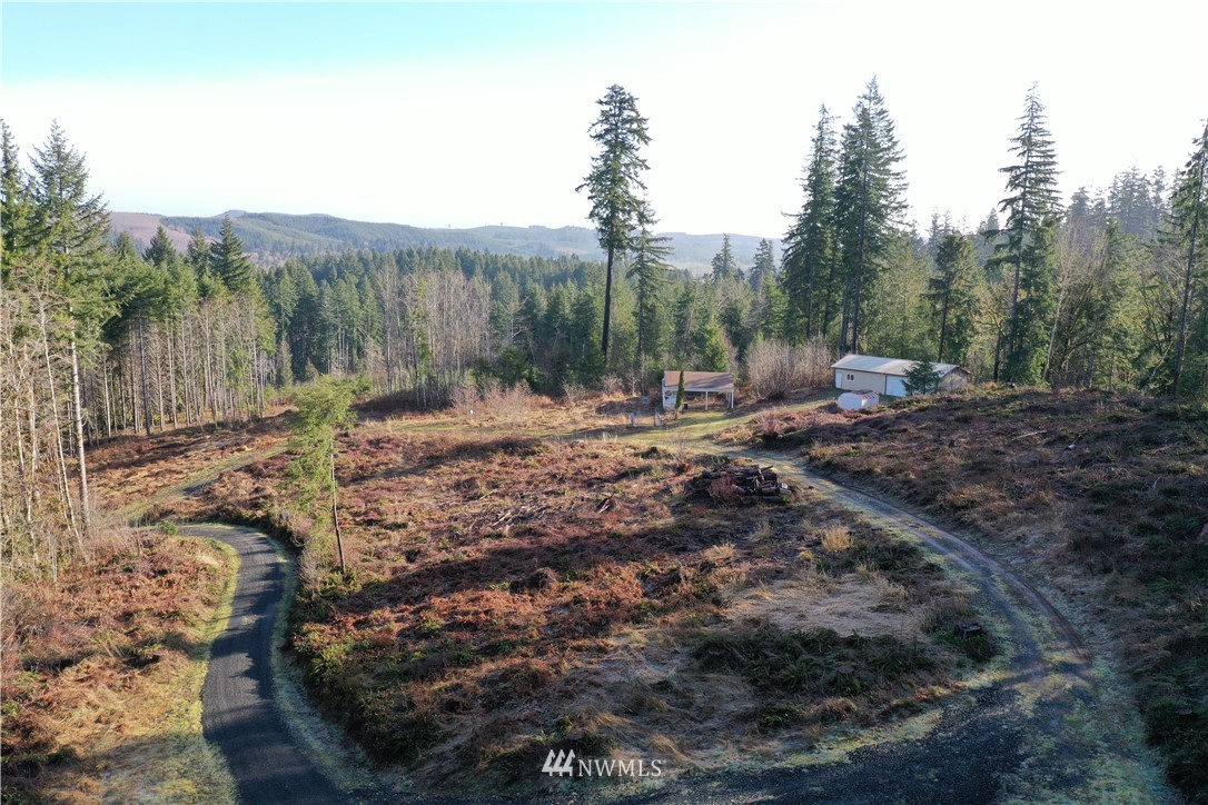 135 Park Hill Road Chehalis, WA 98532 - Photo 8 of 11