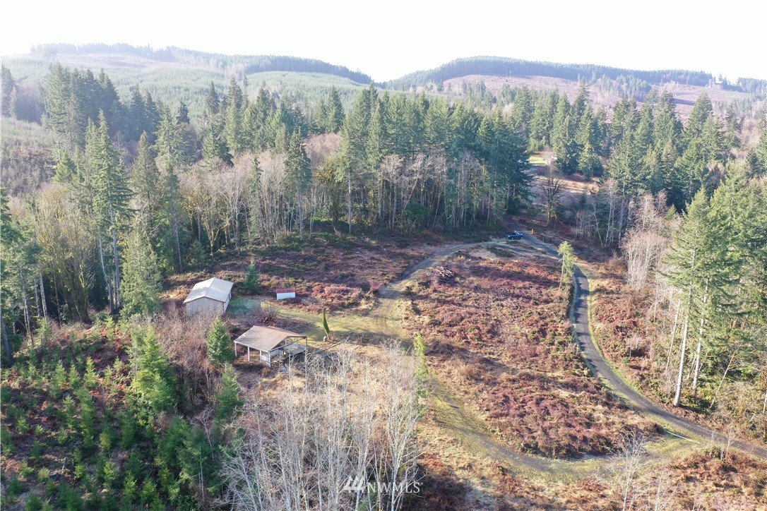 135 Park Hill Road Chehalis, WA 98532 - Photo 9 of 11