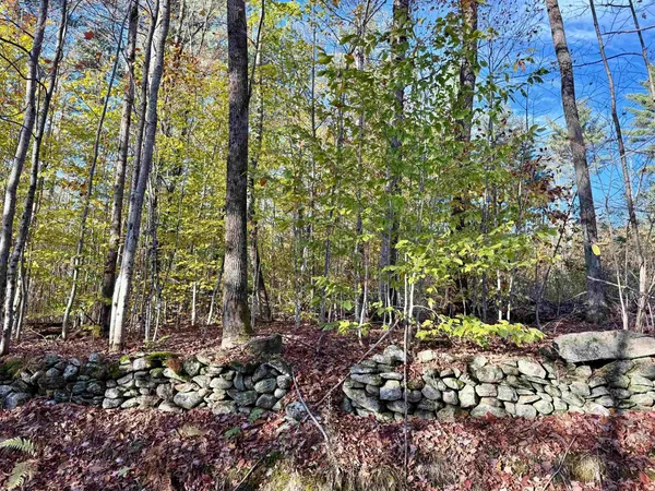 $269,000 | 0 Townshend Dam Road, Wardsboro, VT 05355