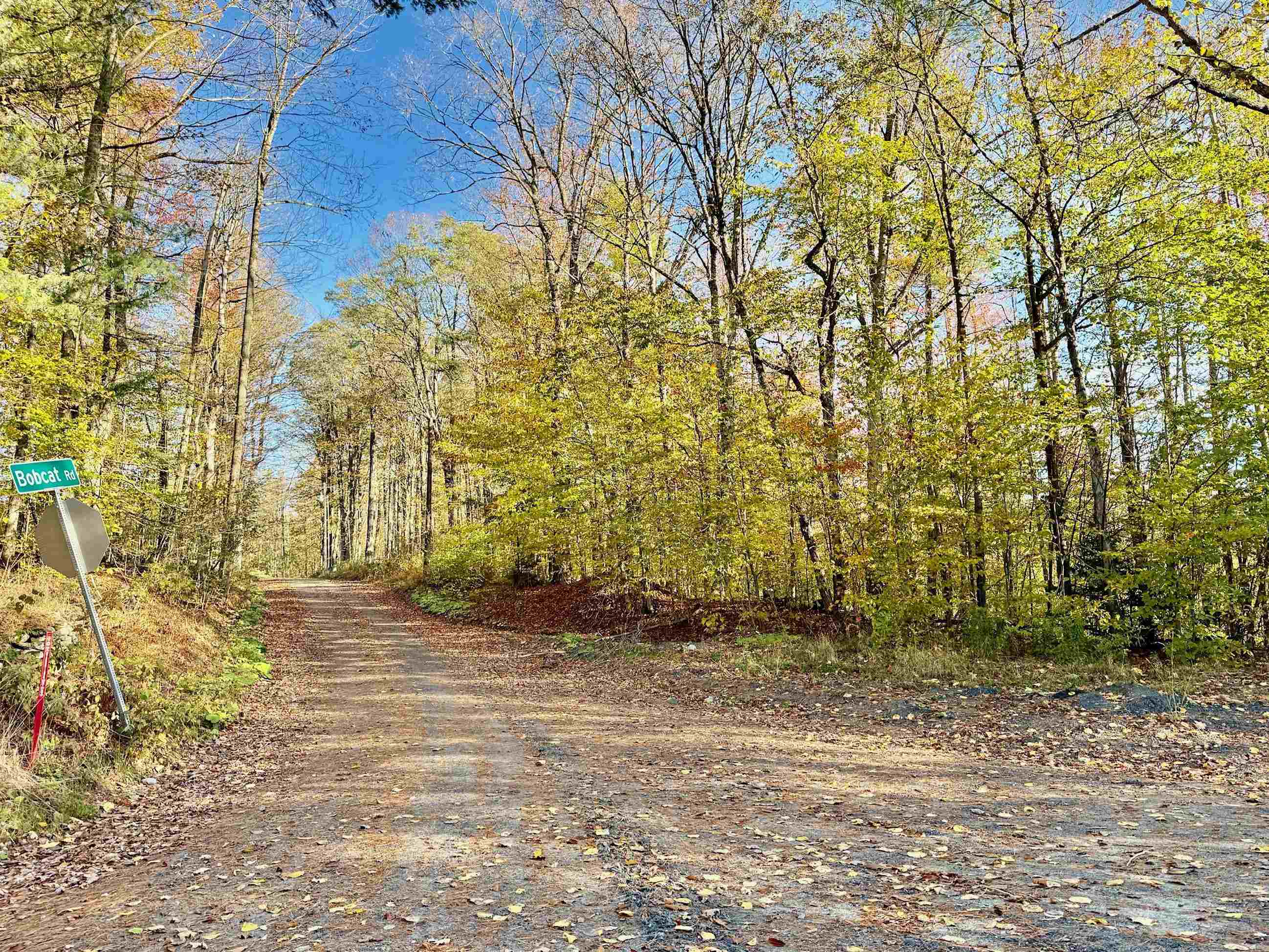 0 Townshend Dam Road Wardsboro, VT 05355 - Photo 4 of 9