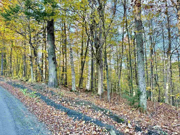 $269,000 | 0 Townshend Dam Road, Wardsboro, VT 05355