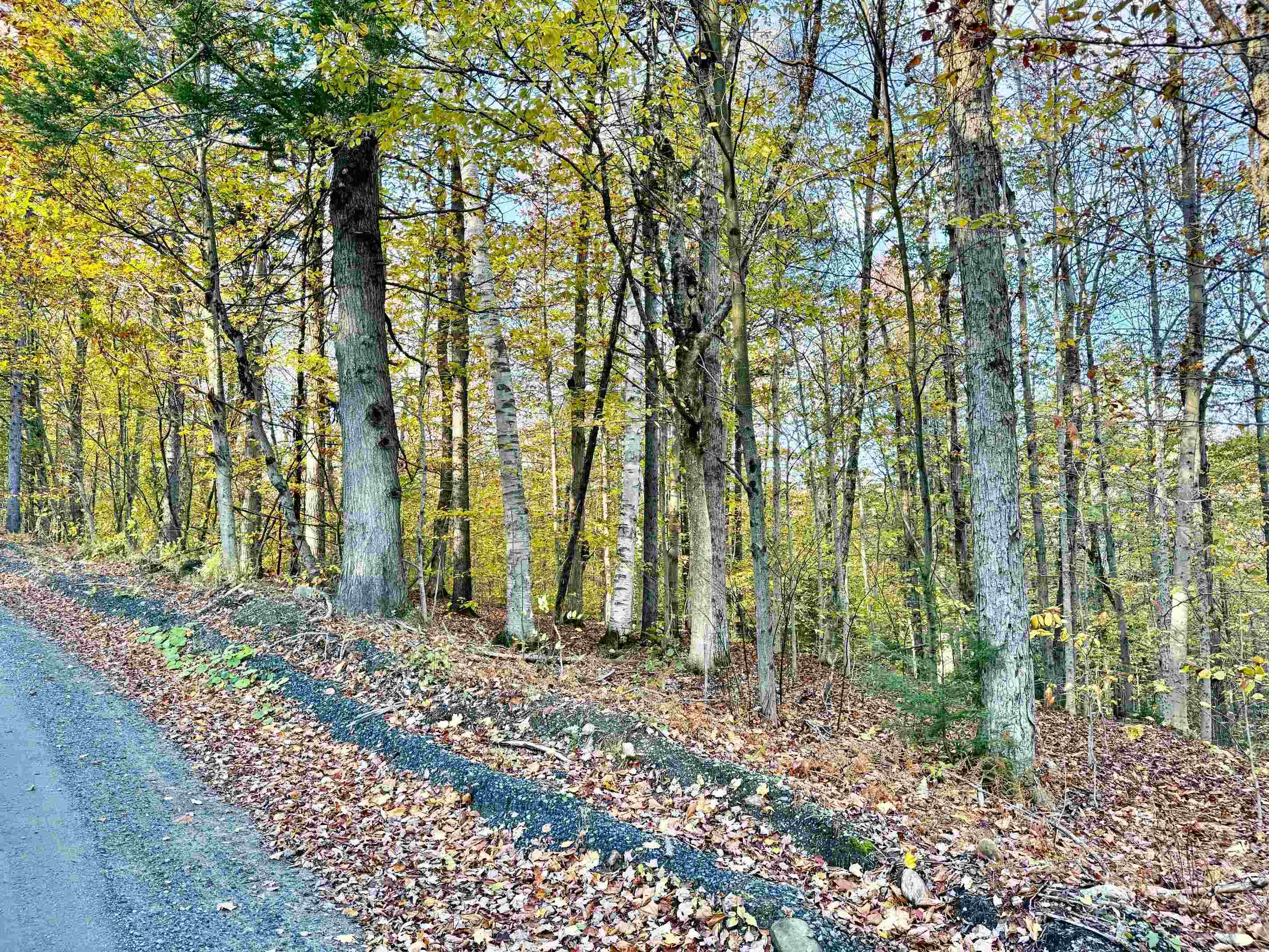 0 Townshend Dam Road Wardsboro, VT 05355 - Photo 5 of 9