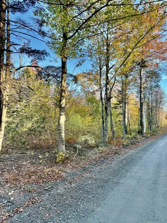 $269,000 | 0 Townshend Dam Road, Wardsboro, VT 05355