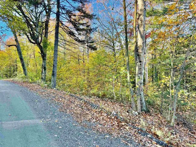 $295,000 | 0 Townshend Dam Road, Wardsboro, VT 05355