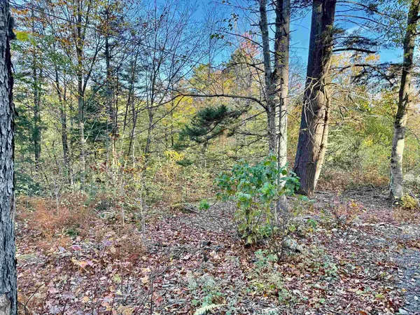 $269,000 | 0 Townshend Dam Road, Wardsboro, VT 05355