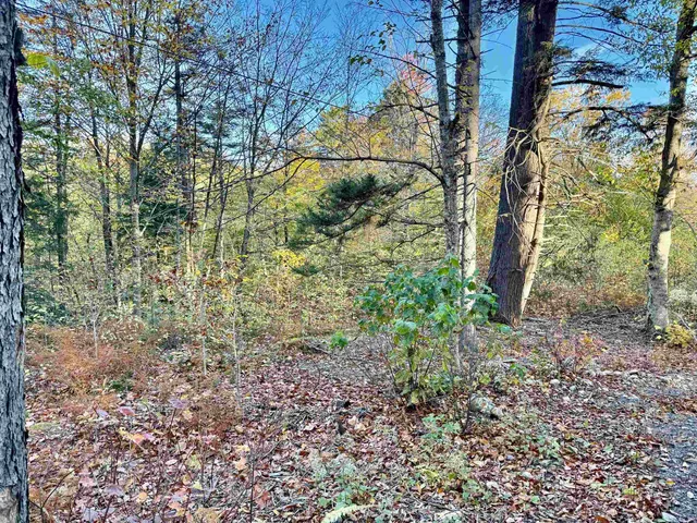 $295,000 | 0 Townshend Dam Road, Wardsboro, VT 05355