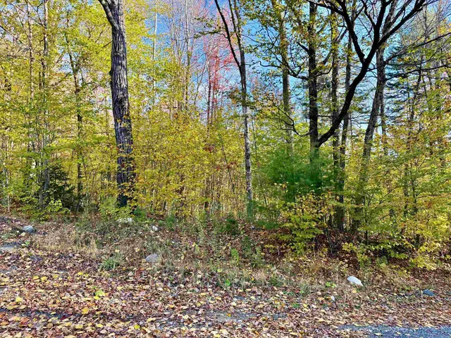 $295,000 | 0 Townshend Dam Road, Wardsboro, VT 05355