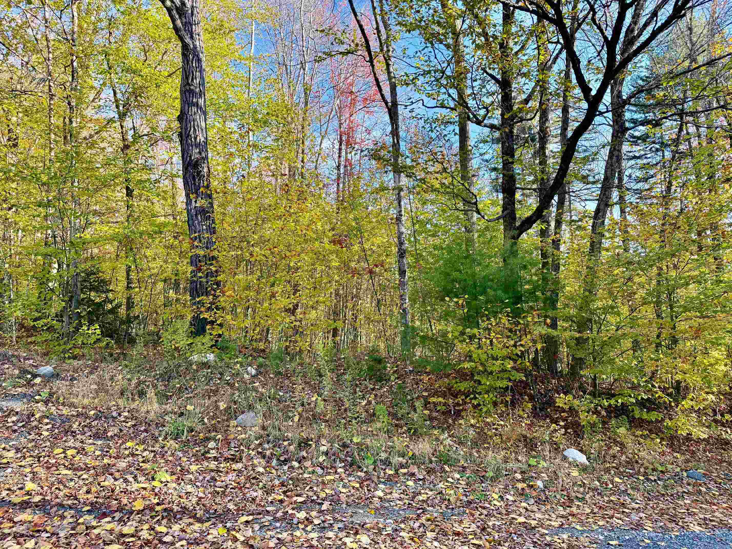 0 Townshend Dam Road Wardsboro, VT 05355 - Photo 9 of 9
