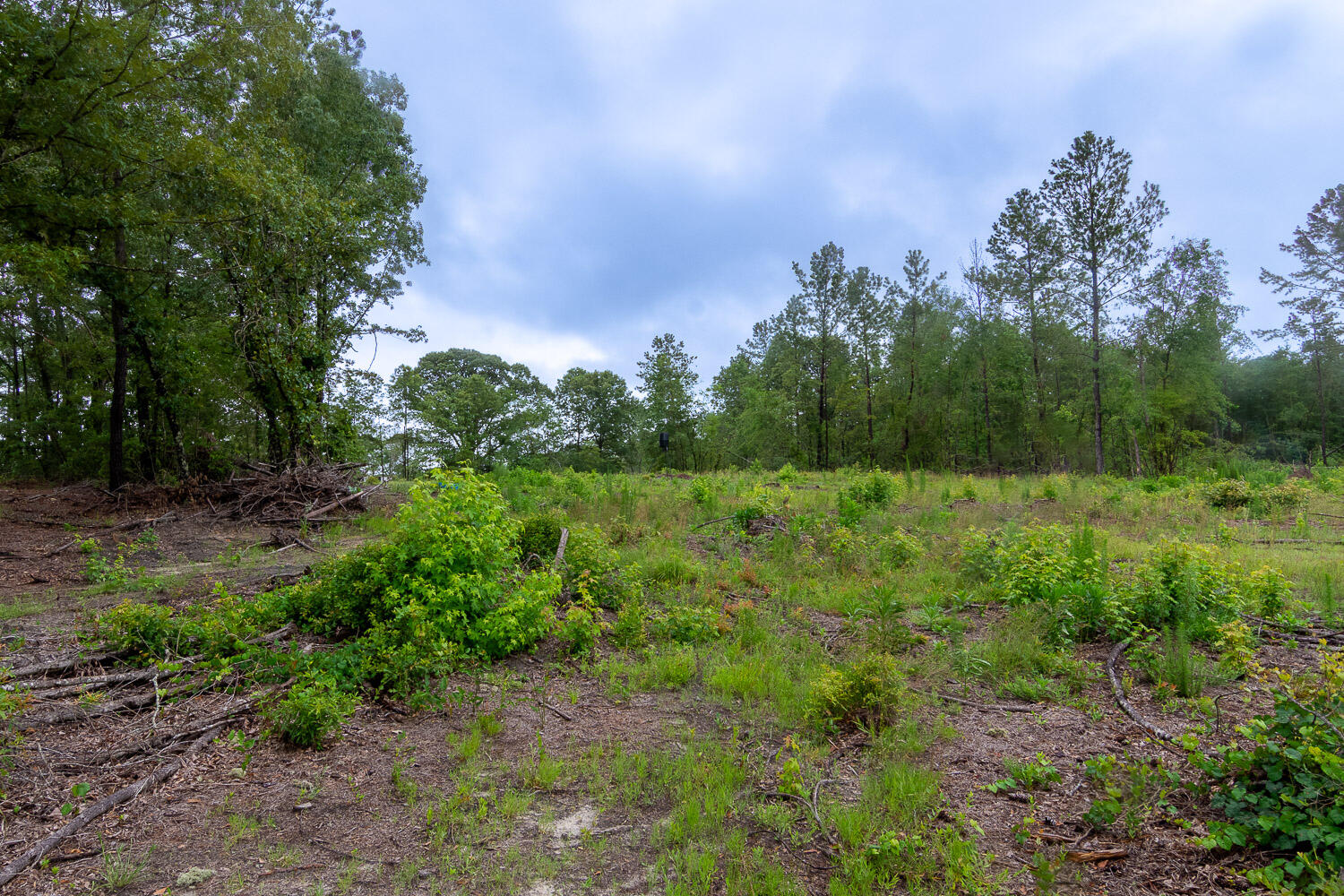 1014 Rabun Road Warrenton, GA 30828 - Photo 28 of 47 1014 Rabun-MLS-26
