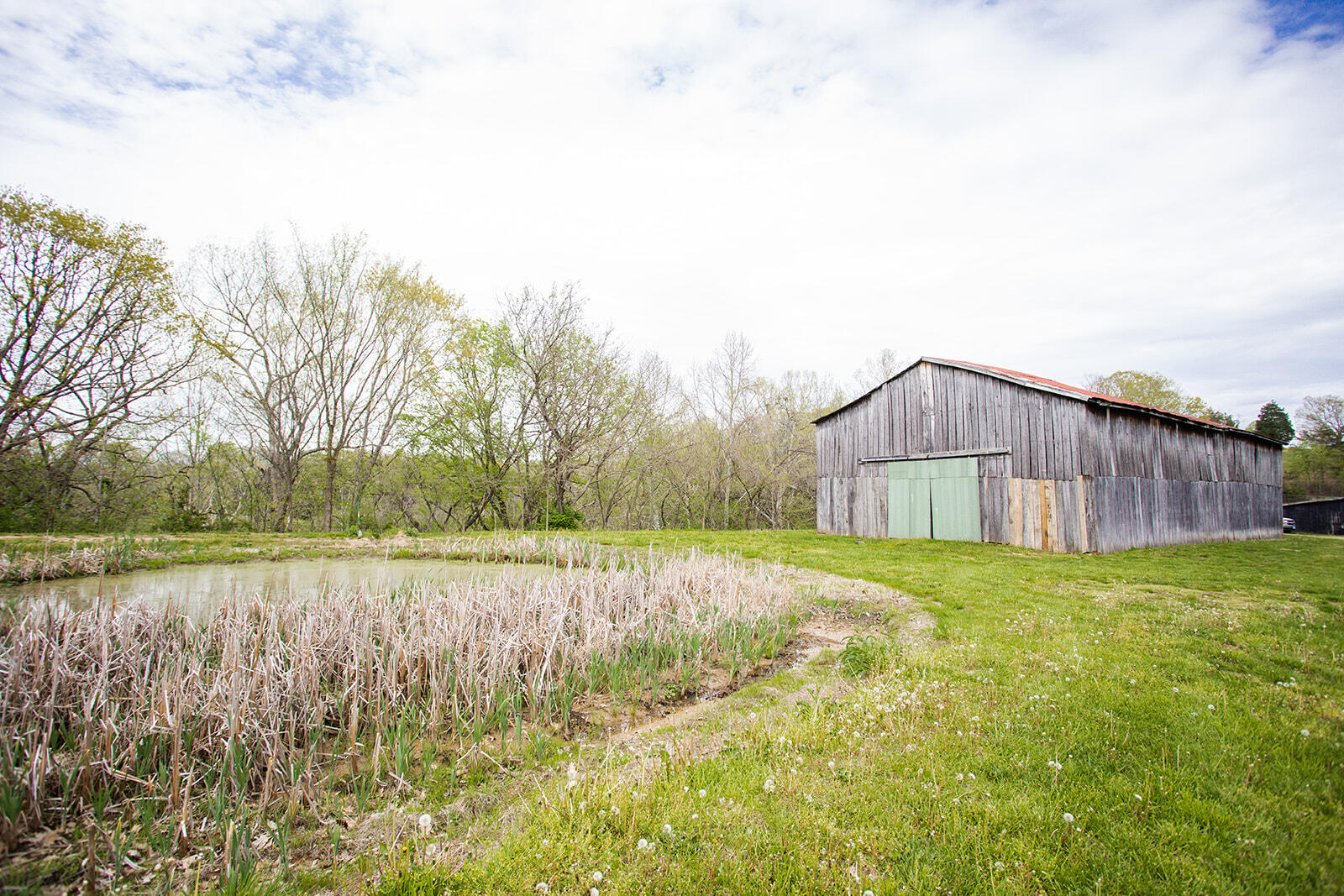 15095 Irvine Road Winchester, KY 40391 - Photo 15 of 57 8G1A5116