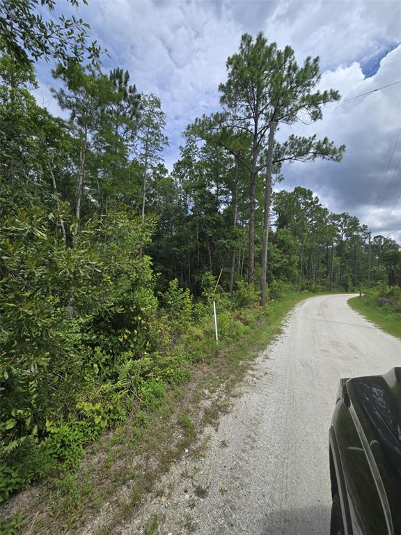 1135 Omega Ranch Road, Unit 4&5 Deltona, FL 32738 - Photo 10 of 11 a view of a park