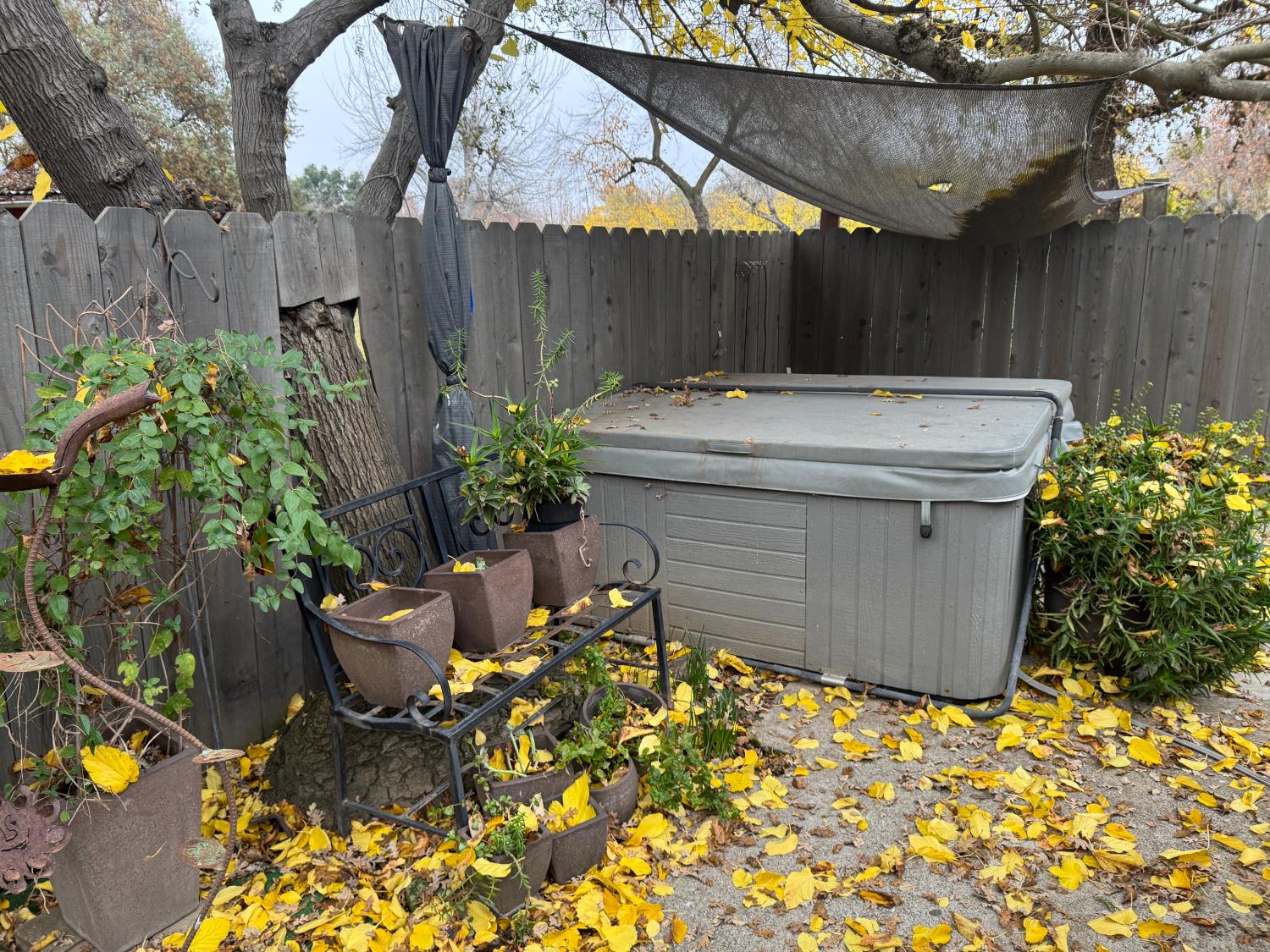 1777 Circle Drive Isleton, CA 95641 - Photo 12 of 20 a view of outdoor space and garden