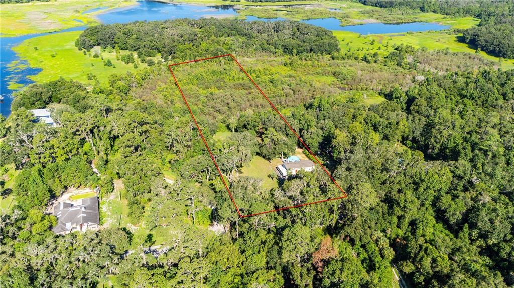 3283 Neff Lake Road Brooksville, FL 34602 - Photo 7 of 37 a view of a yard with plants