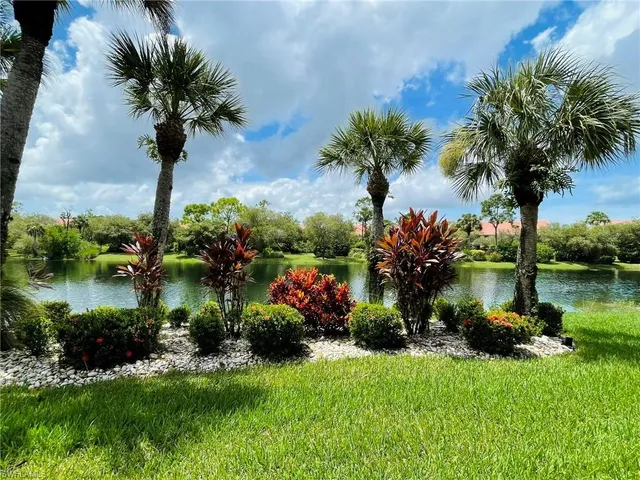 a view of a garden with a tree