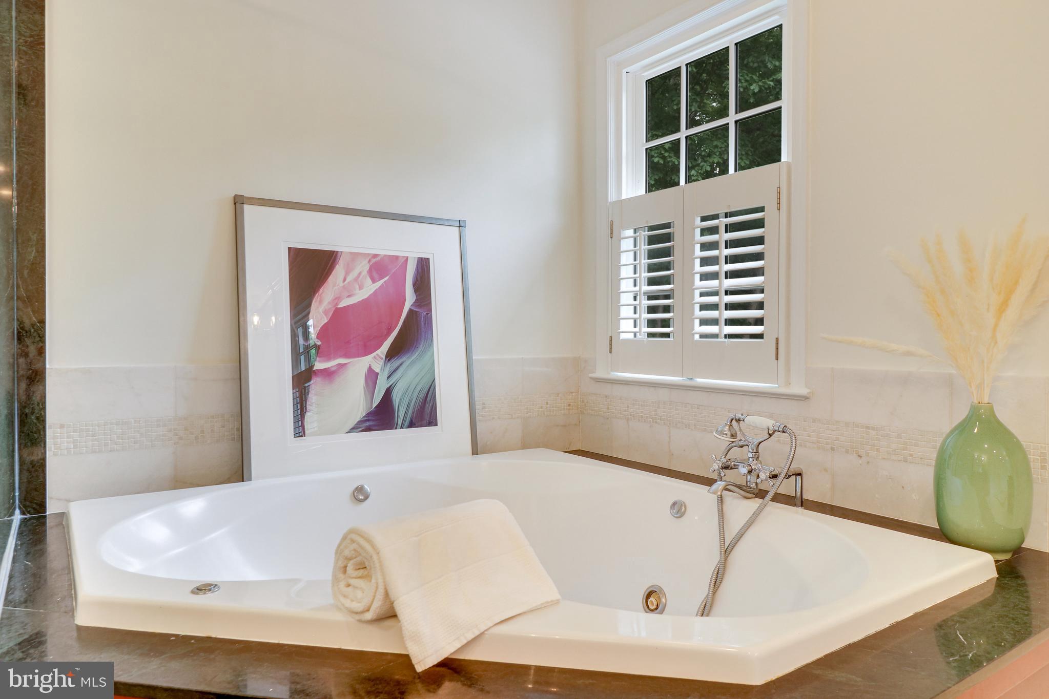 8618 Brook Road McLean, VA 22102 - Photo 40 of 81 Soaking tub