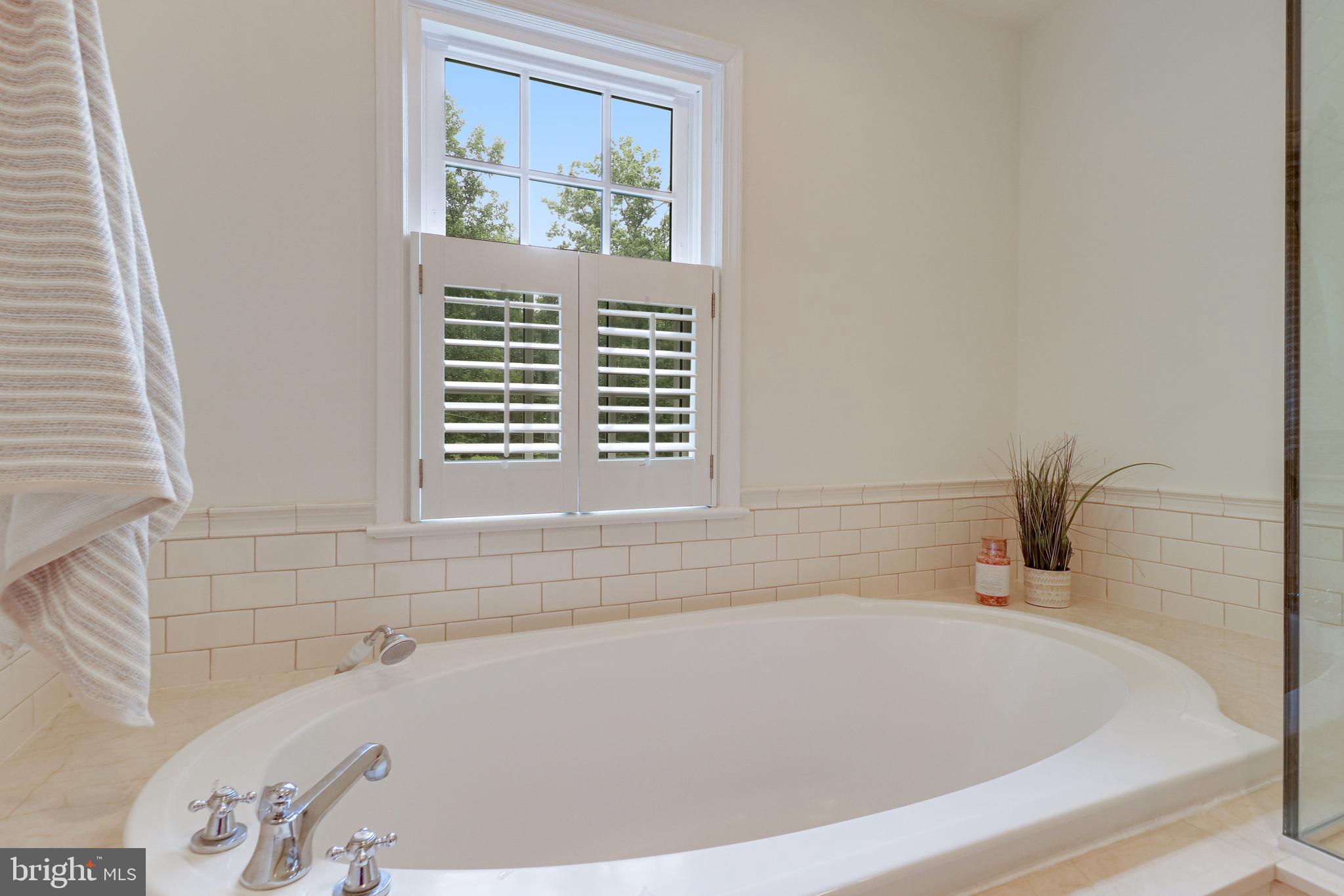 8618 Brook Road McLean, VA 22102 - Photo 46 of 81 Soaking tub