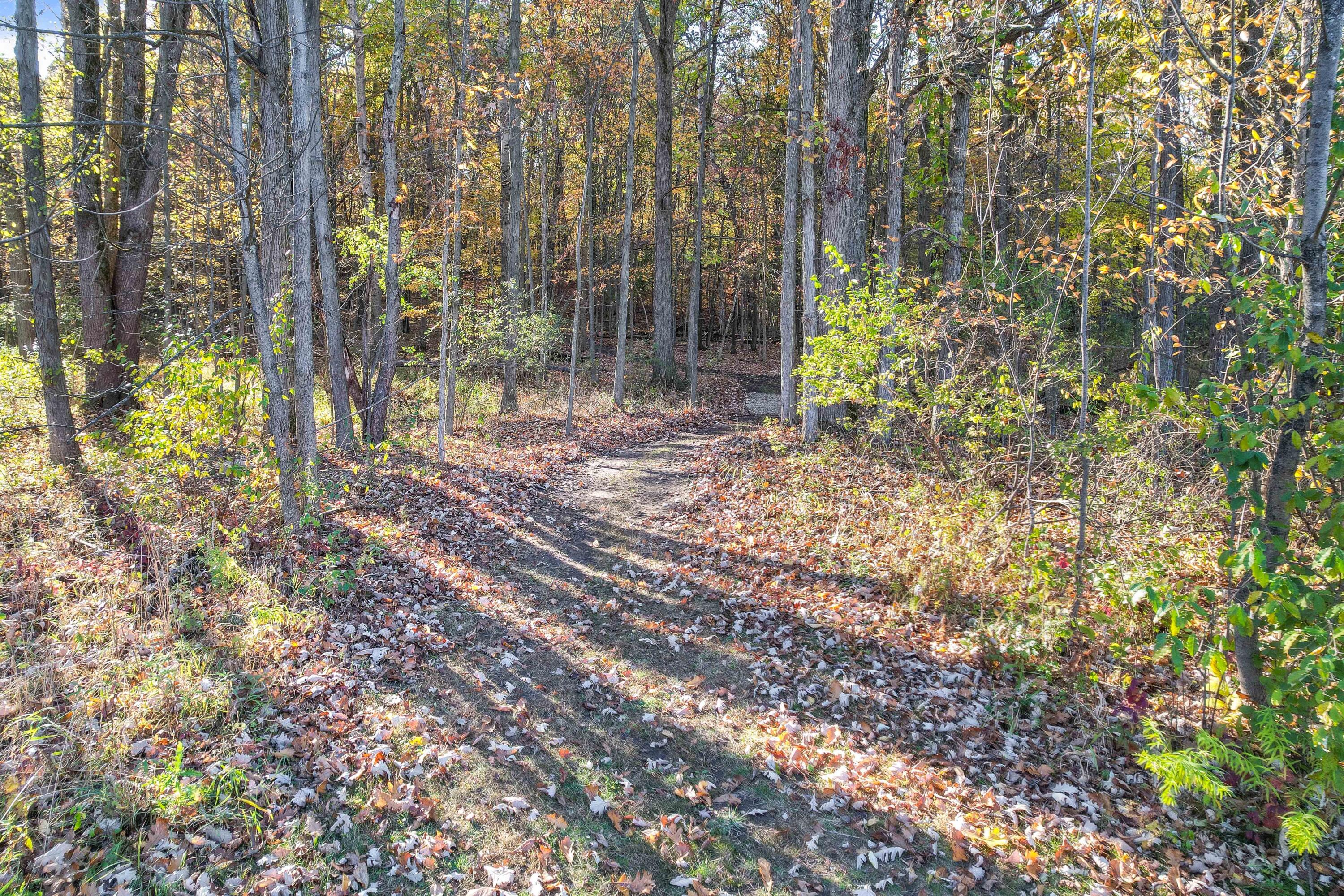 9242 Irish Road Grand Blanc, MI 48439 - Photo 36 of 41 DJI_0635