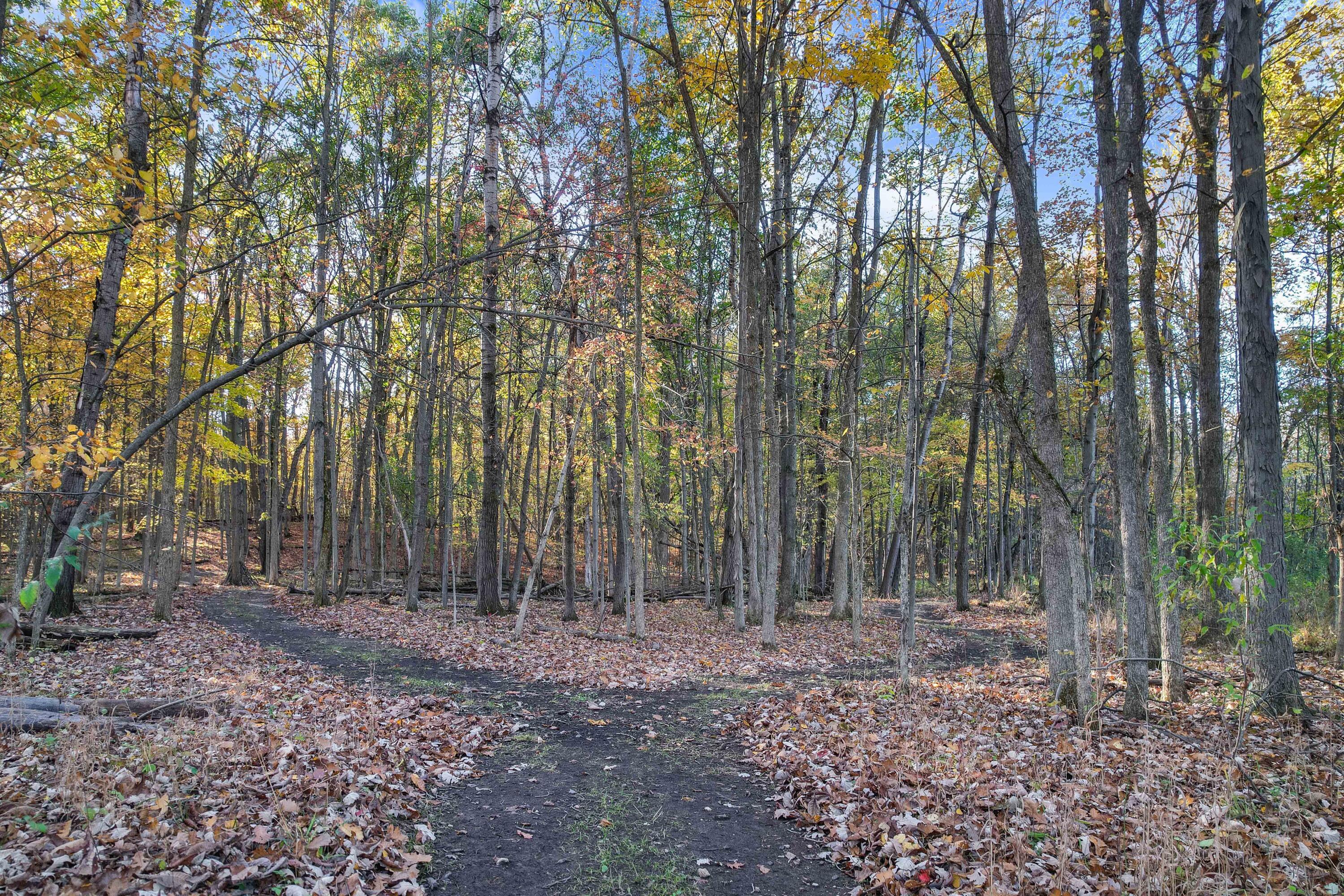 9242 Irish Road Grand Blanc, MI 48439 - Photo 37 of 41 DJI_0639