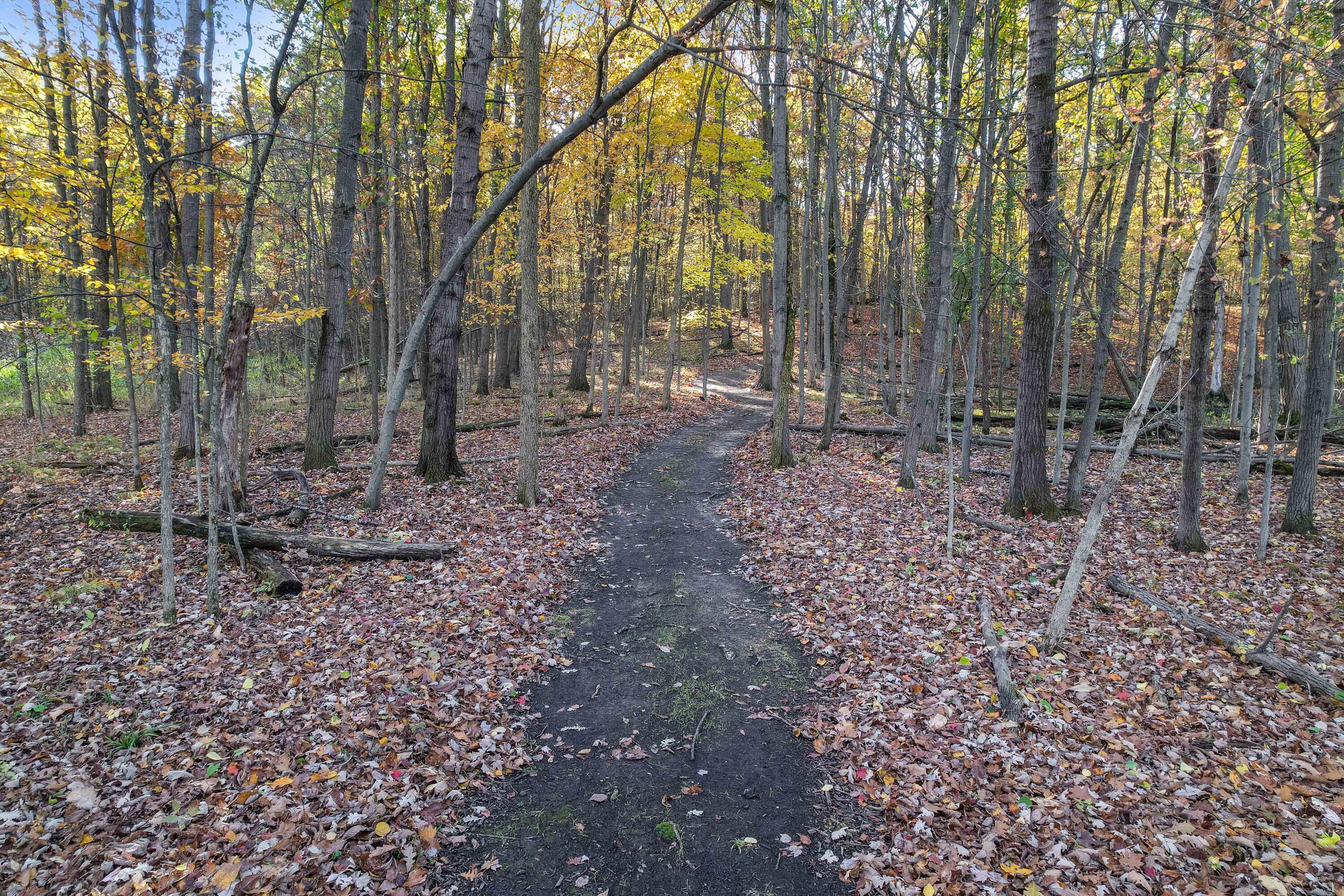 9242 Irish Road Grand Blanc, MI 48439 - Photo 38 of 41 DJI_0642