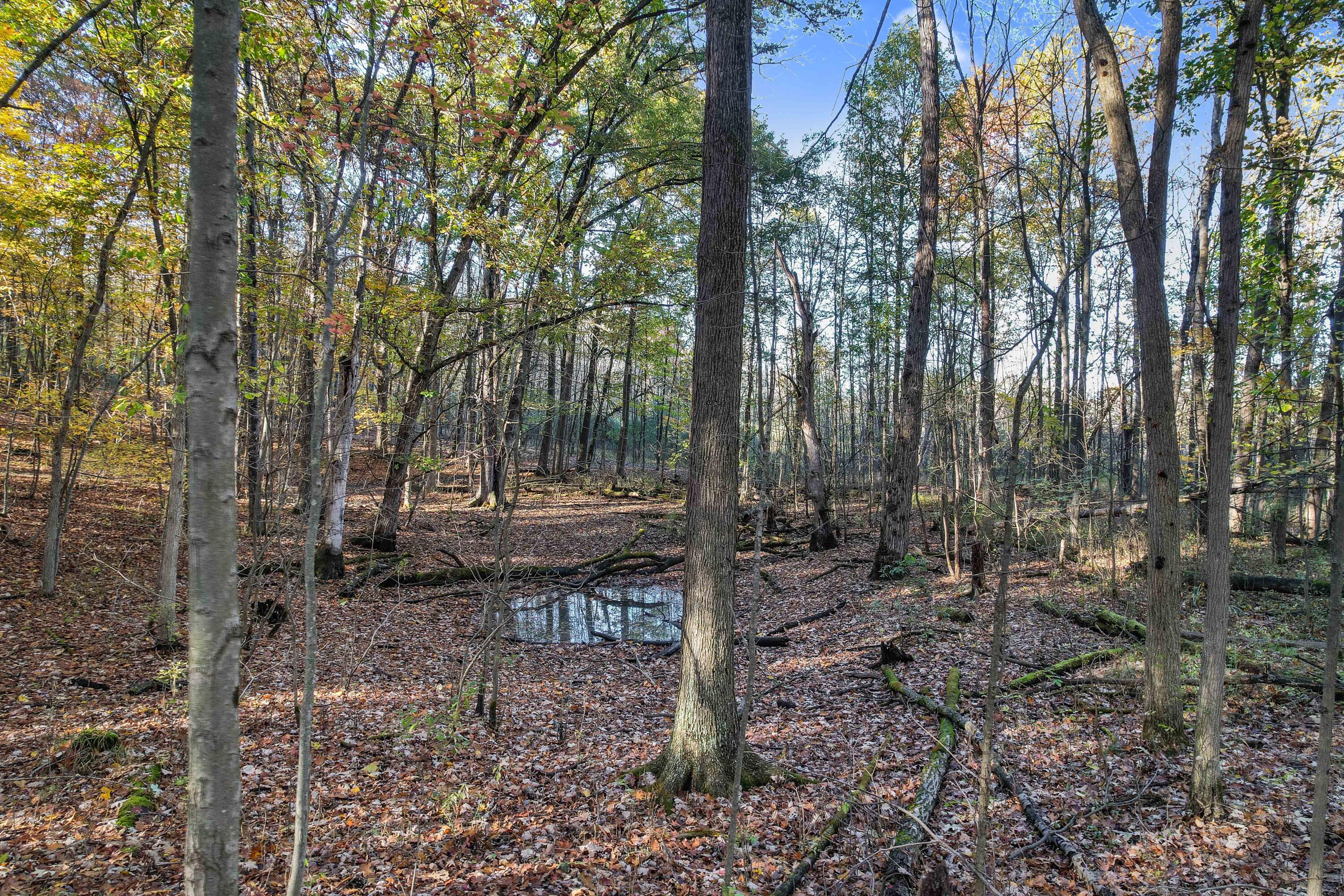 9242 Irish Road Grand Blanc, MI 48439 - Photo 40 of 41 DJI_0652