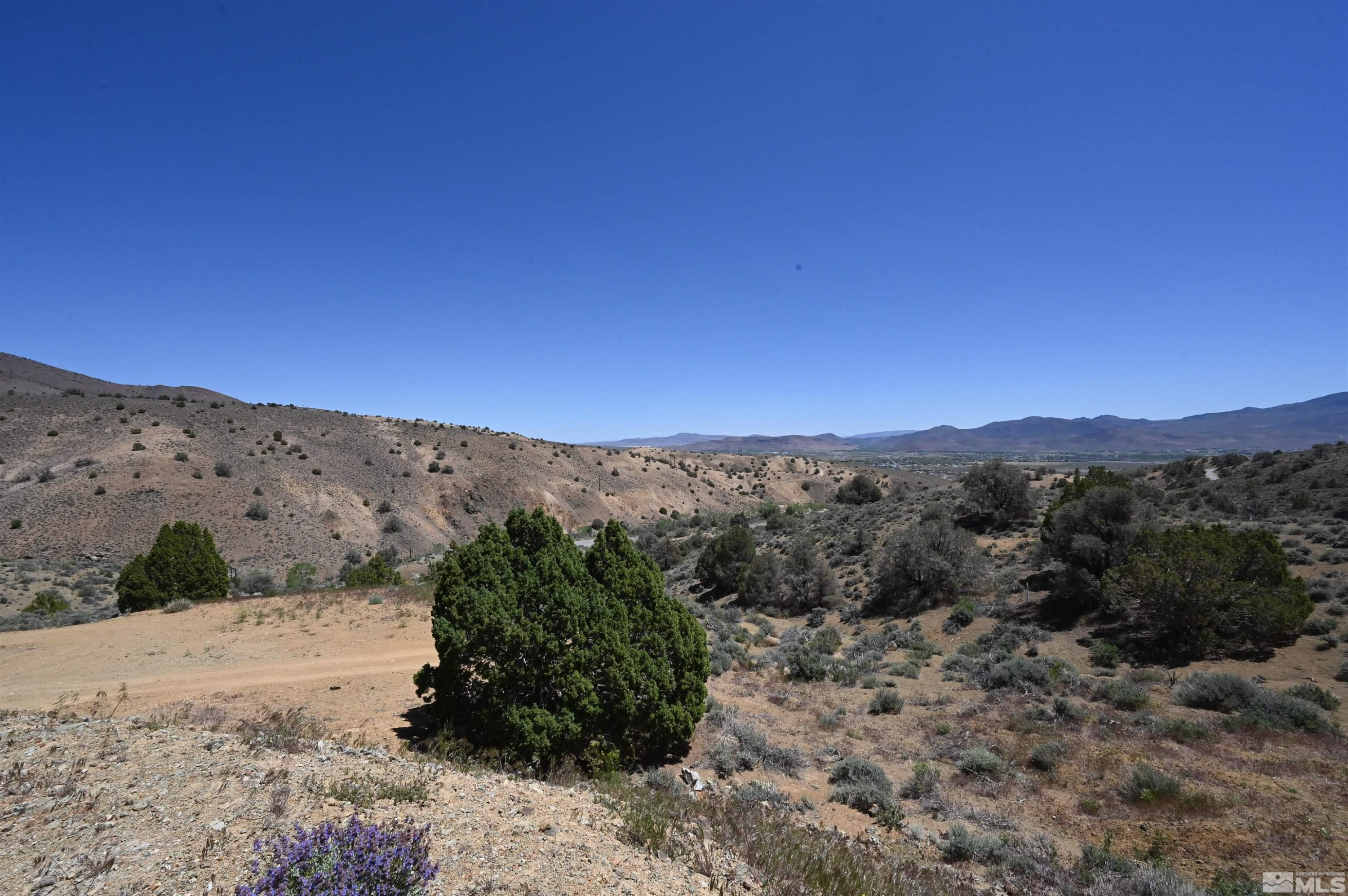 3425 Six Mile Canyon Road Virginia City, NV 89440 - Photo 14 of 21 Photo 16