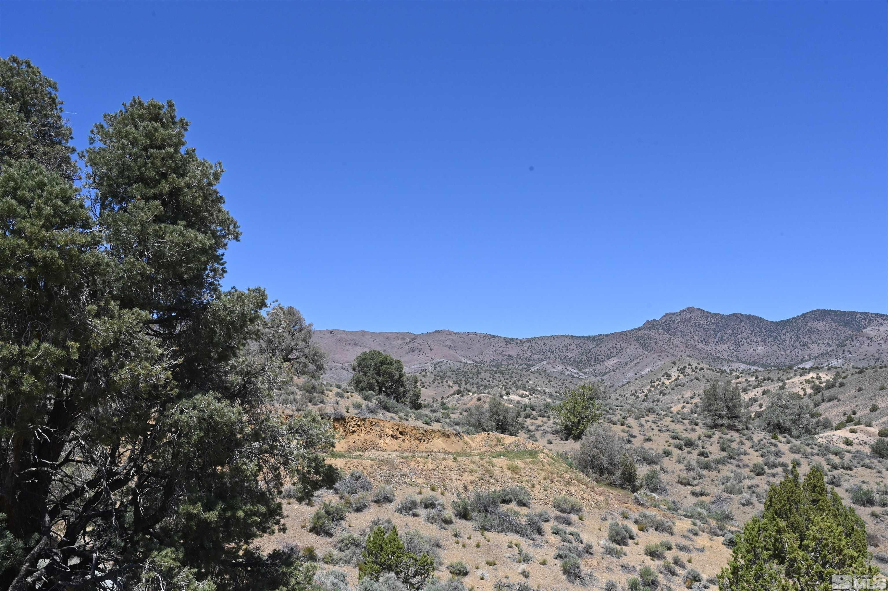 3425 Six Mile Canyon Road Virginia City, NV 89440 - Photo 16 of 21 Photo 18