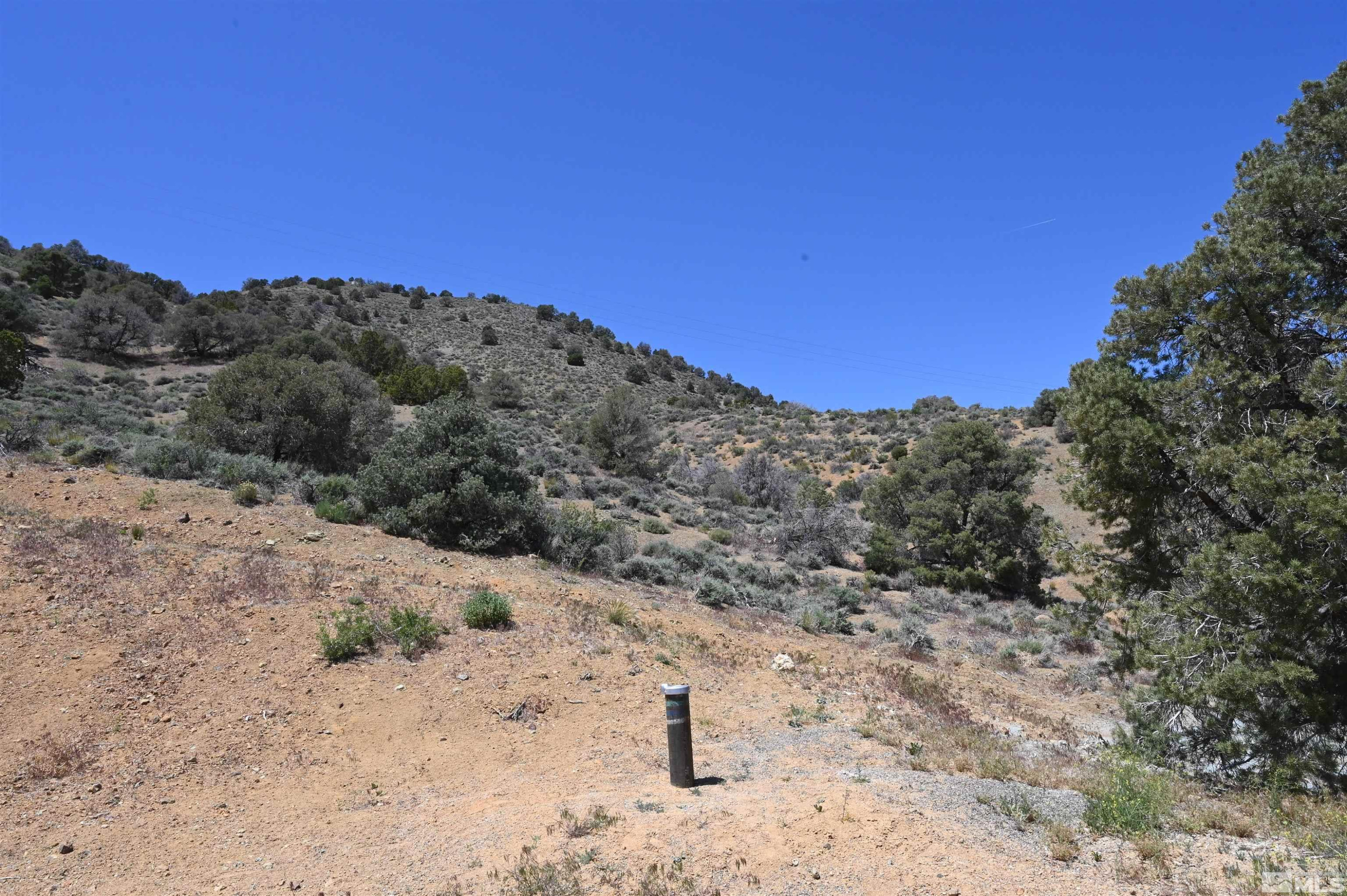 3425 Six Mile Canyon Road Virginia City, NV 89440 - Photo 3 of 21 Photo 3