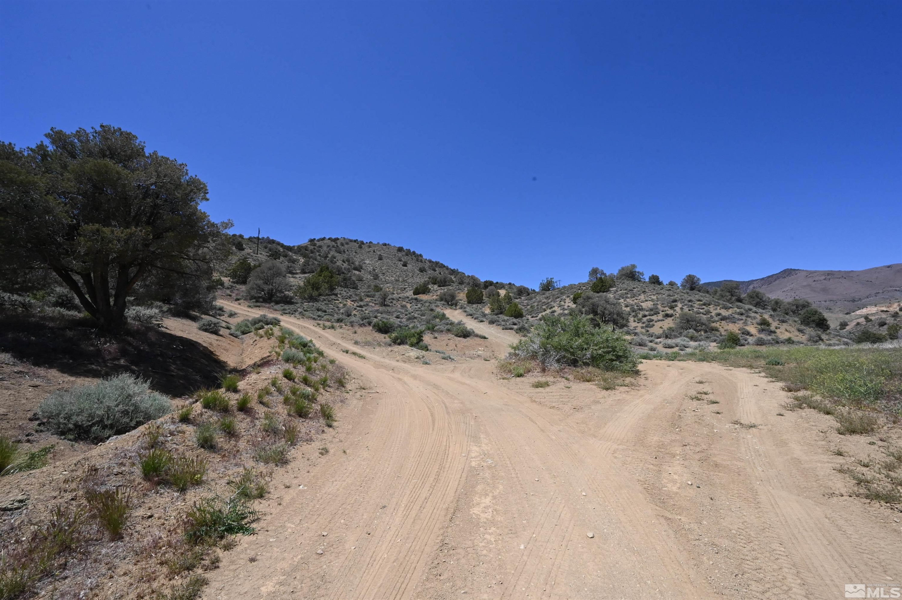 3425 Six Mile Canyon Road Virginia City, NV 89440 - Photo 7 of 21 Photo 7