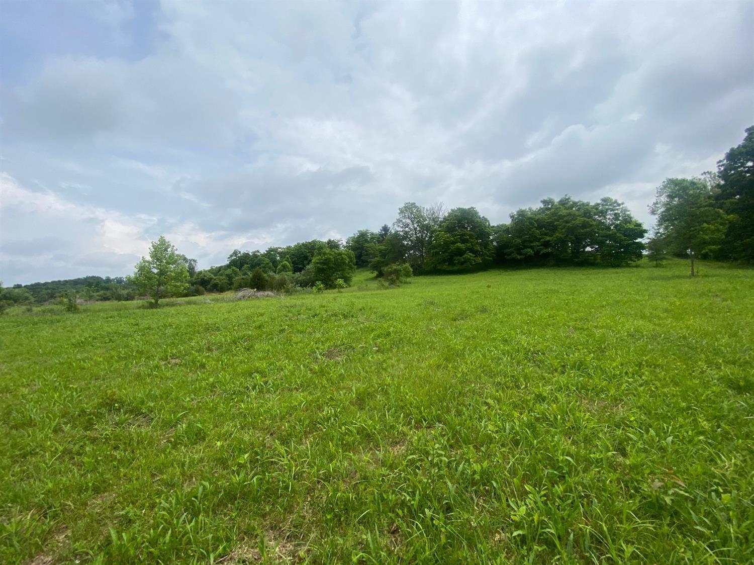 13655 State Rte 41 West Union, OH 45693 - Photo 16 of 25 Gallery Image 16